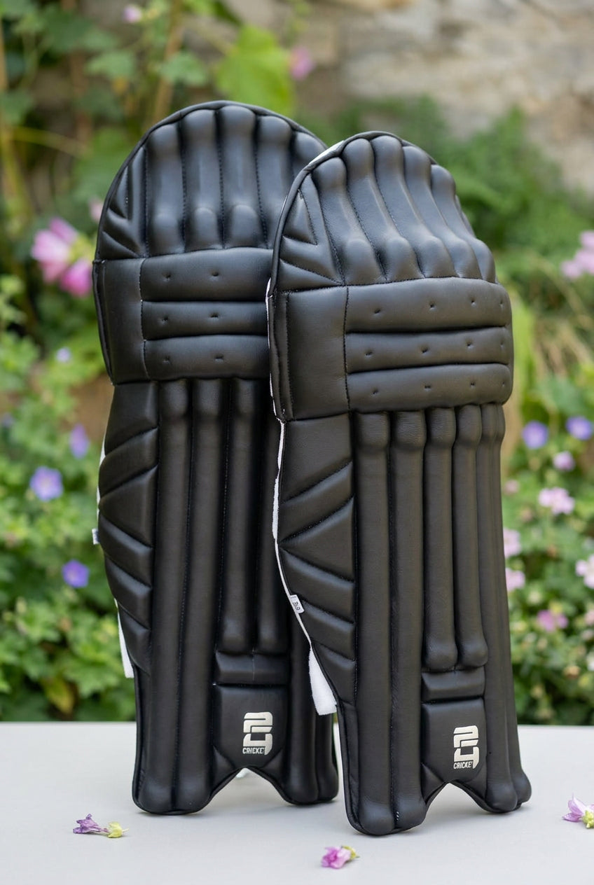 24Cricket Silver Edition Batting Pads