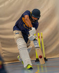 24Cricket Silver Edition Batting Gloves