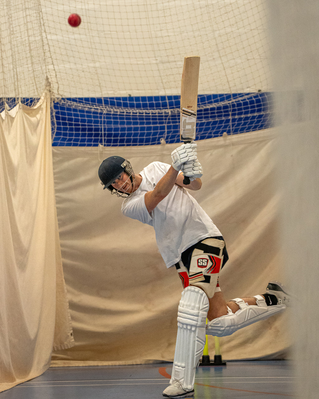 24Cricket Silver Edition Batting Gloves