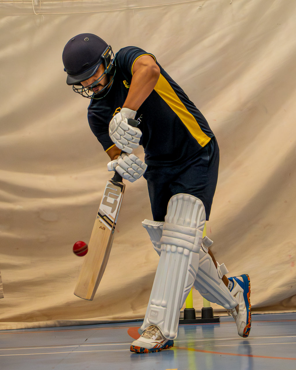 24Cricket Silver Edition Batting Gloves