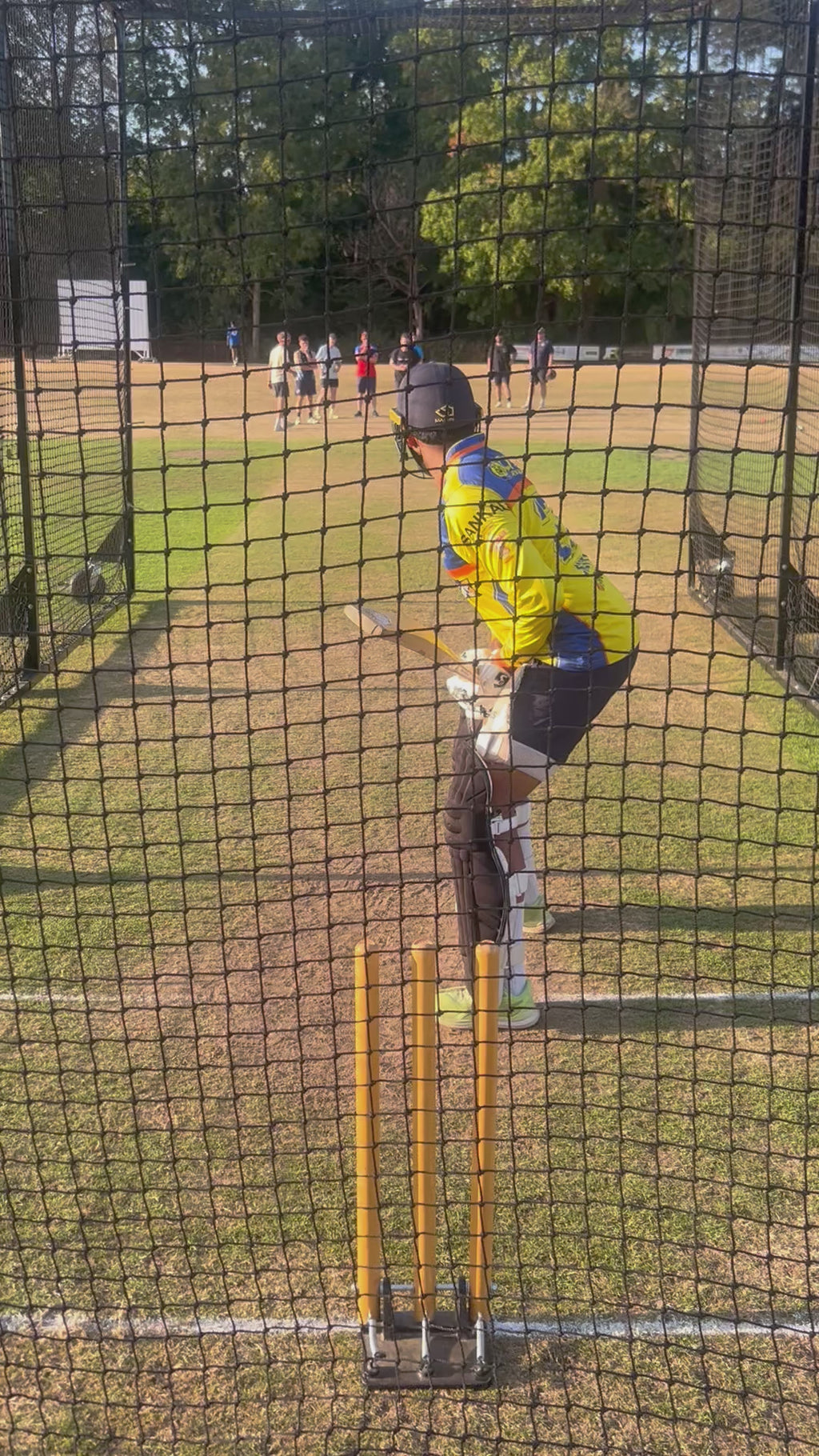 24Cricket Gold Edition Batting Pads